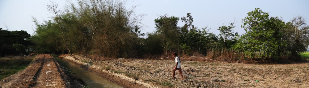 Professionally Investing in Change